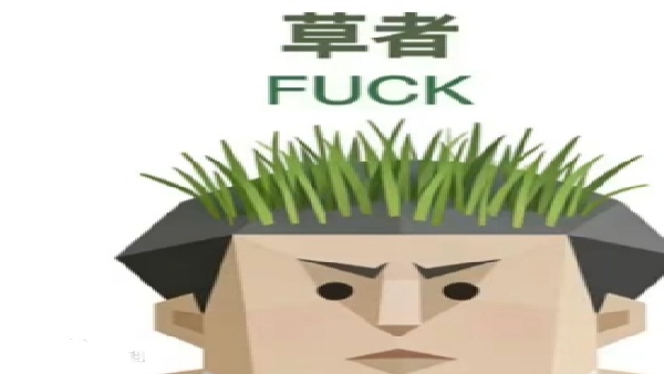 SBTI草者人格介绍