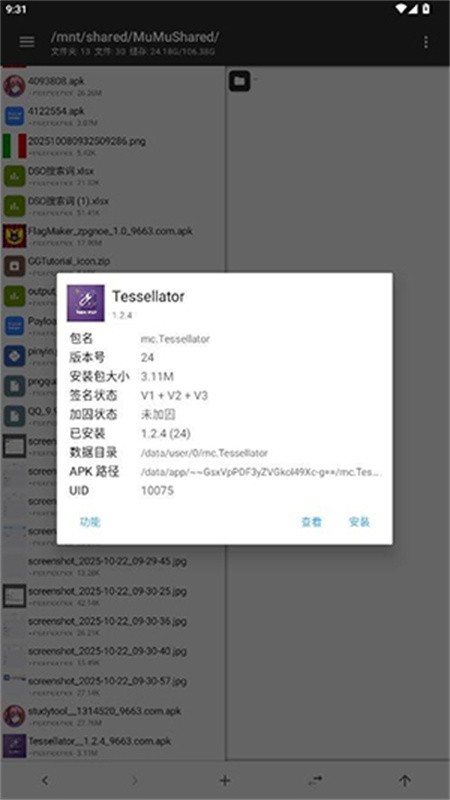 Tessellator截图1