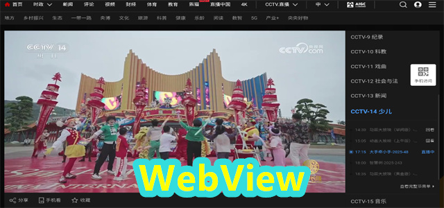 WebView