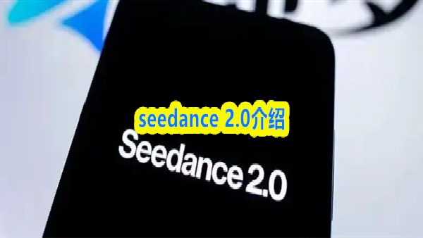 seedance 2.0介绍