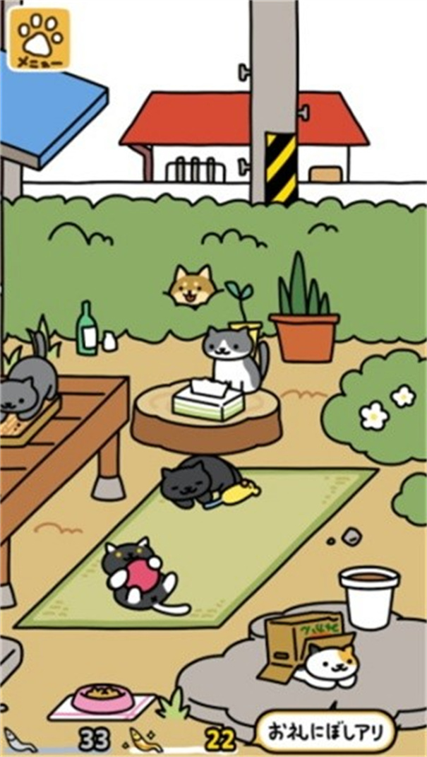 猫咪后院2官方版截图2
