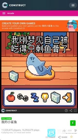 我的小鲨鱼