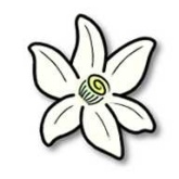 橙花模拟器