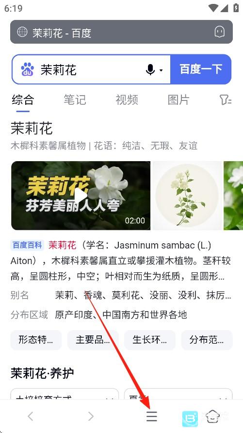 蓝奏浏览器使用方式-2