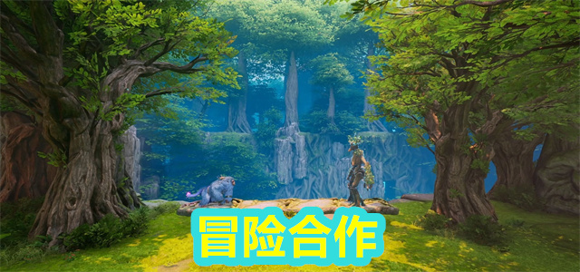 冒险合作
