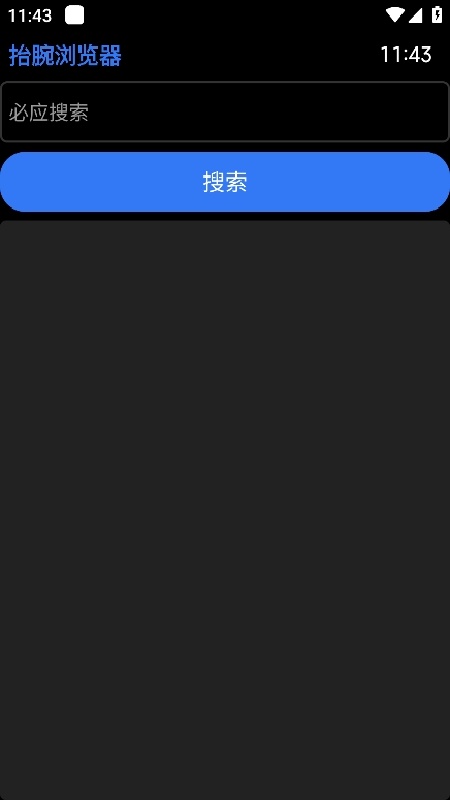 抬腕浏览器手表版