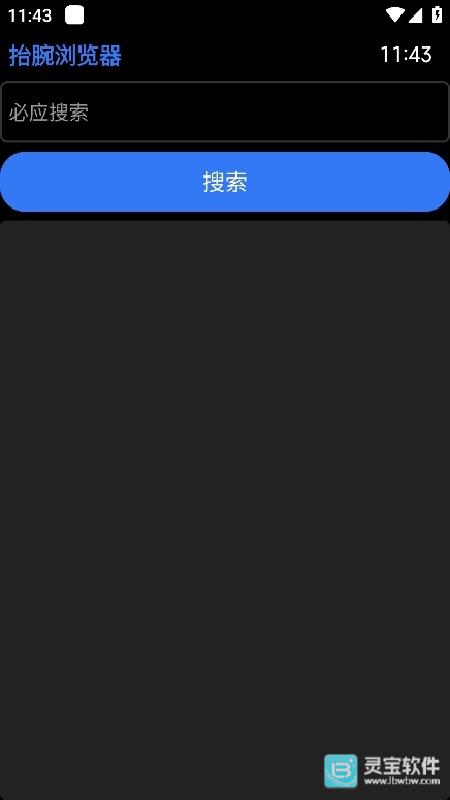 抬腕浏览器手表版