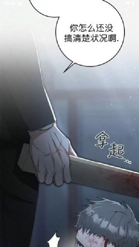 蛋圈官方正版截图3