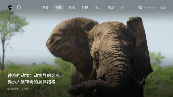 大西瓜TV