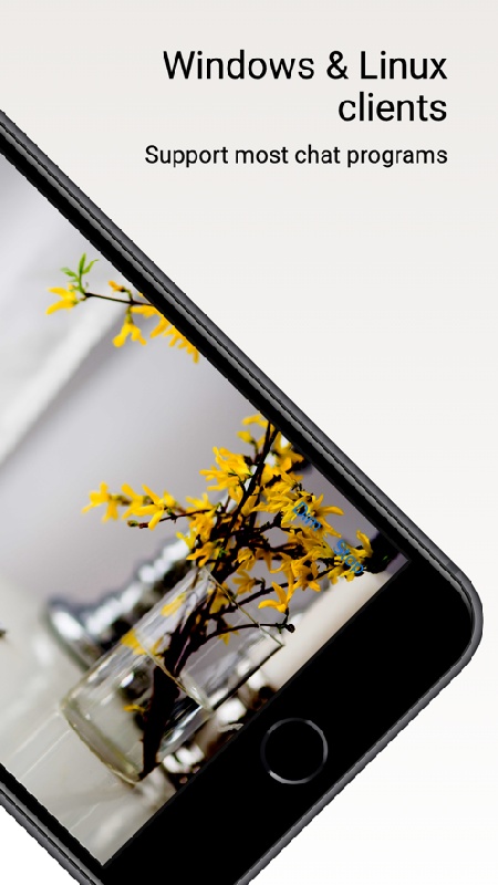 DroidCam手机端