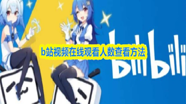 b站怎么视频在线观看人数