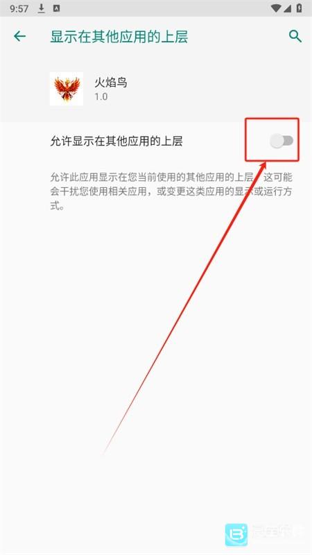 和平精英火焰鸟v4