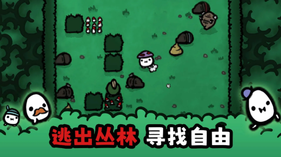 迷失土豆