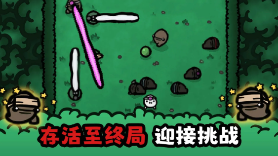 迷失土豆