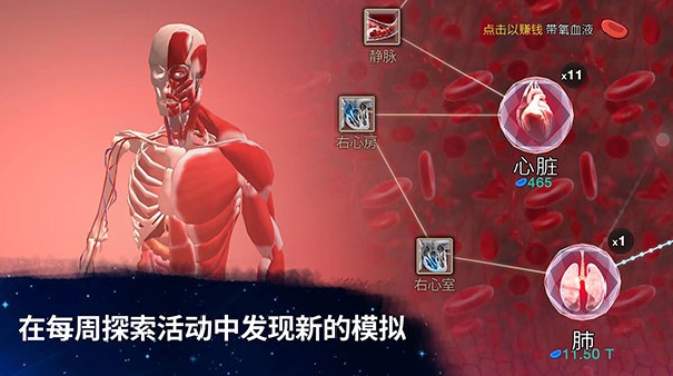 从细胞到奇点国际版