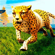 猎豹模拟器