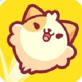 皮皮猫