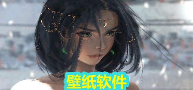 壁纸软件
