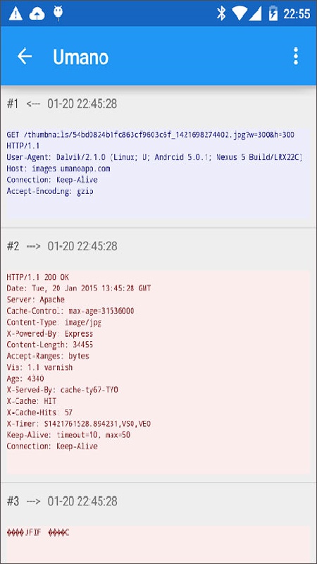 Packet Capture中文版