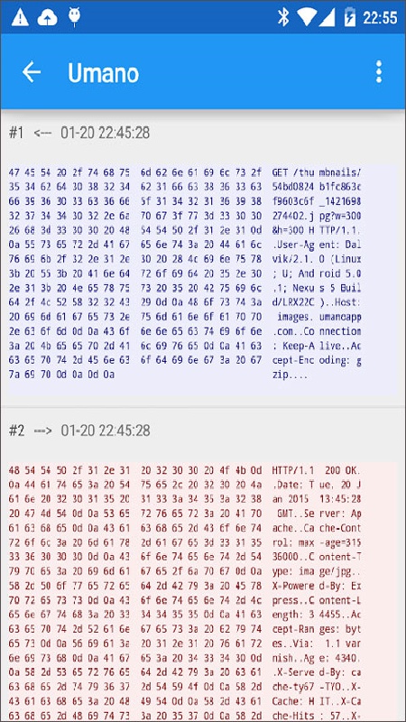 Packet Capture中文版
