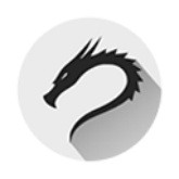 kali linux