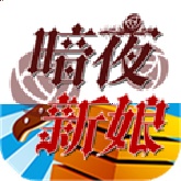 暗夜新娘官方版