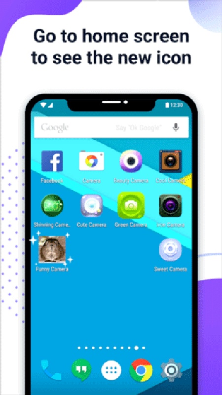 X ICON CHANGER