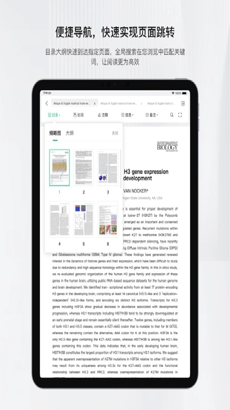 小绿鲸