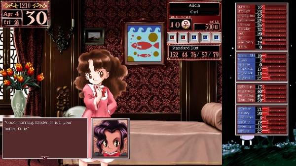美少女梦工厂2中文版