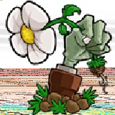植物大战僵尸IC版