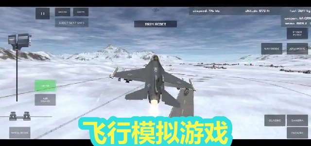 飞行模拟