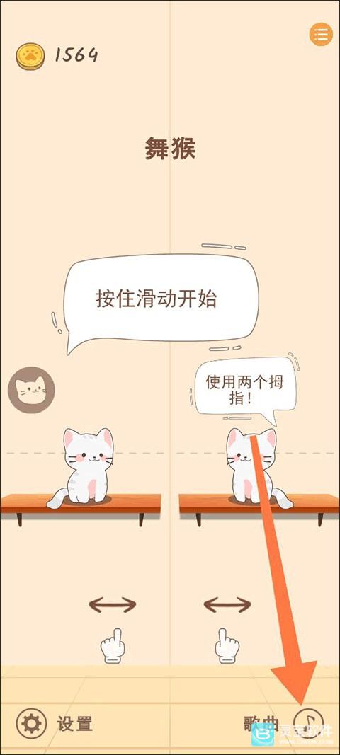 猫咪二重奏