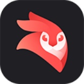 videoLeap