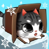盒子里的猫