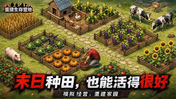 重建生存营地手游