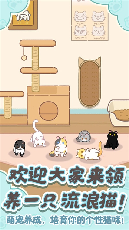 领养一只流浪猫手机版