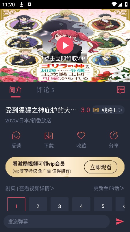 次元站官方版