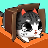 盒子里的猫官方版