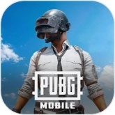 pubgmobile官方正版