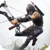 忍者信条3D中文版