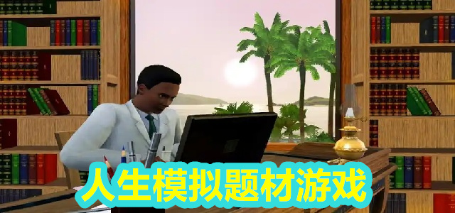 人生模拟题材游戏