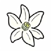 橙花模拟器手机版