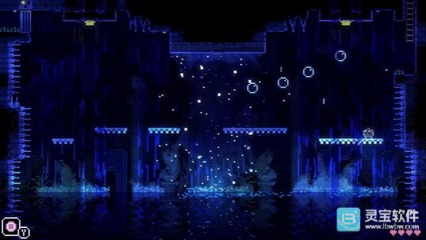 动物井手机版