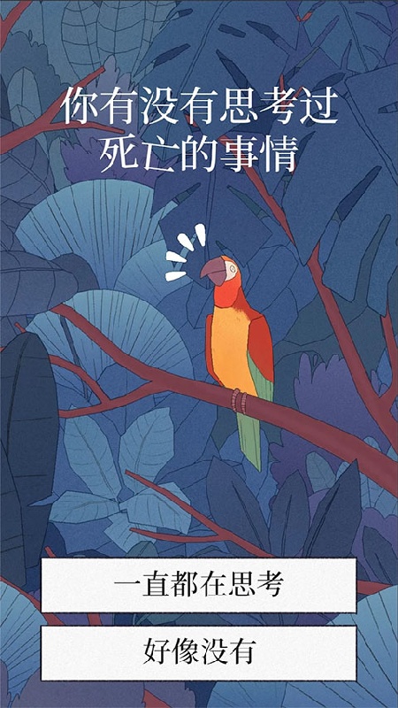 孤独的鸟儿国服