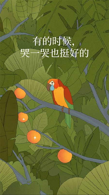 孤独的鸟儿国服