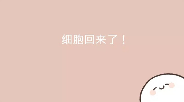 我的49天与细胞官方版截图2