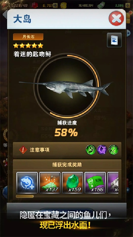 钓鱼发烧友安卓版