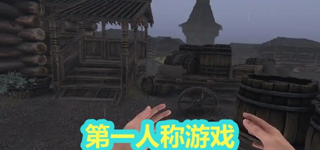 第一人称游戏