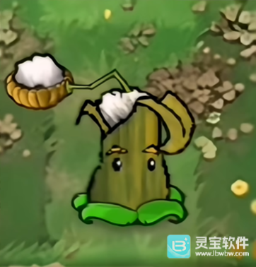 植物大战僵尸恐怖版