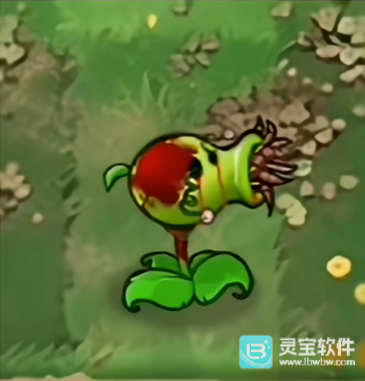 植物大战僵尸恐怖版